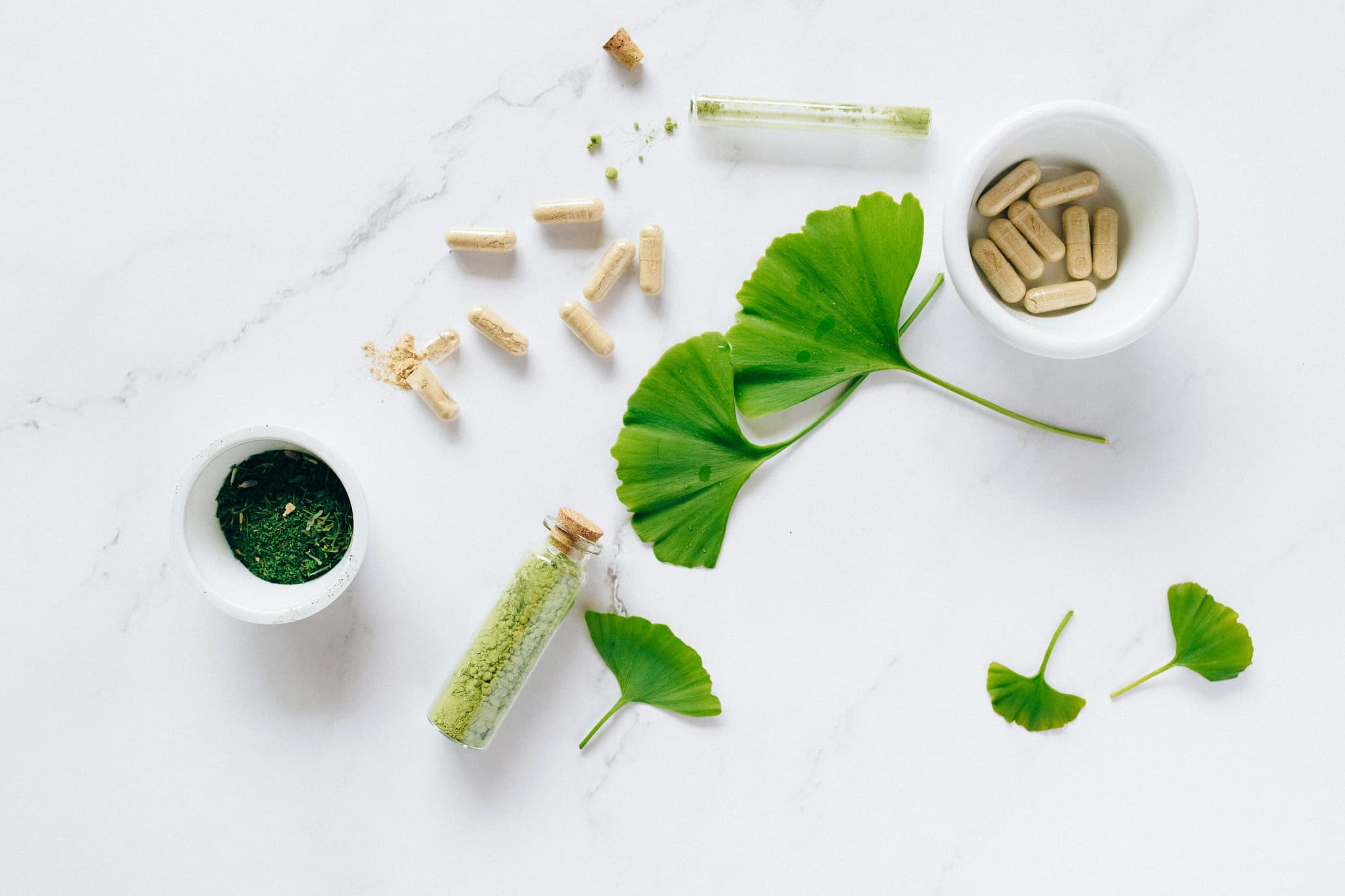 Capsules and Leaf Photo